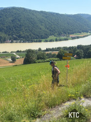 2025-07-05 Sauwaldtrail - IMG_3932